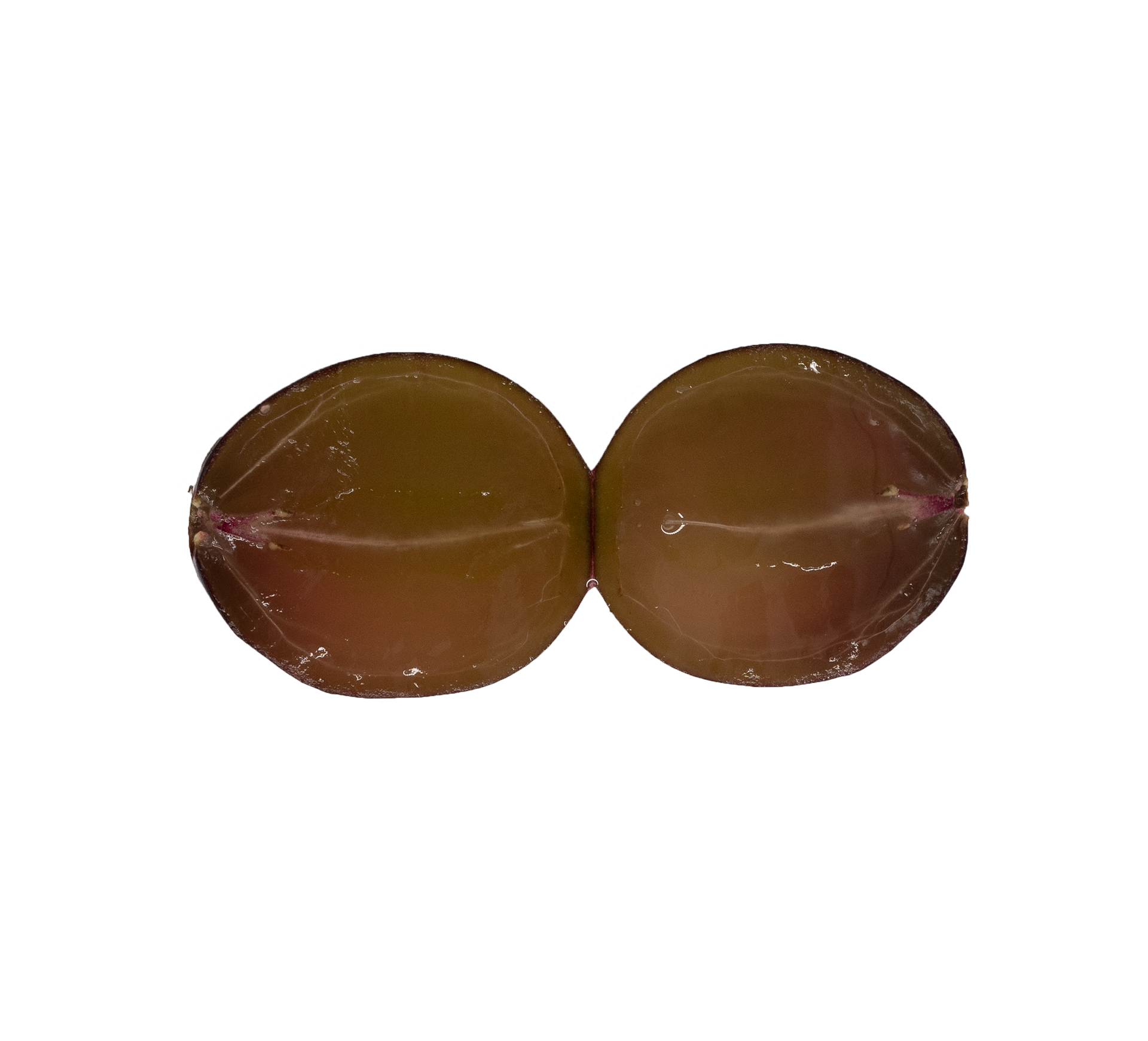 60302거봉221118S1920V001.png