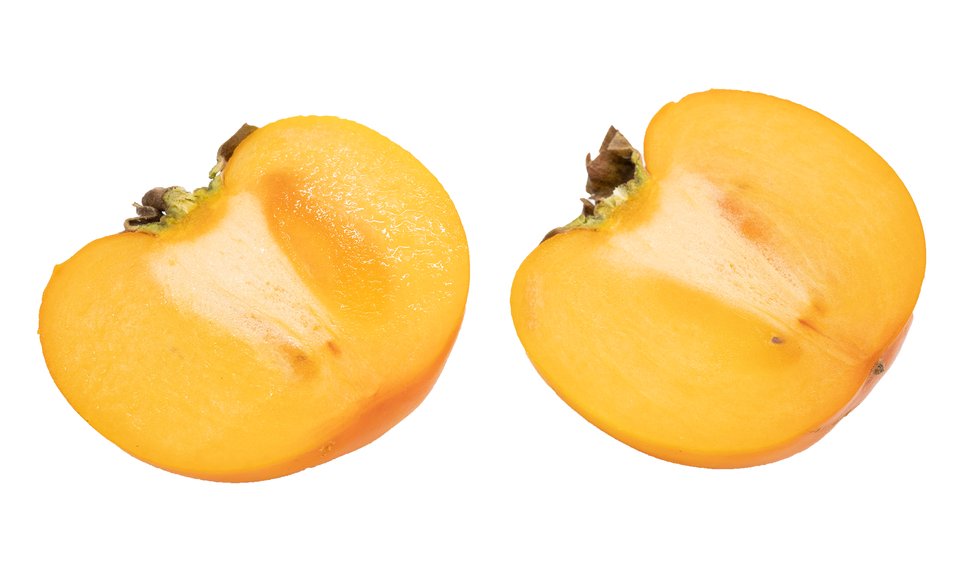 60611둥시221117S1920V001.png