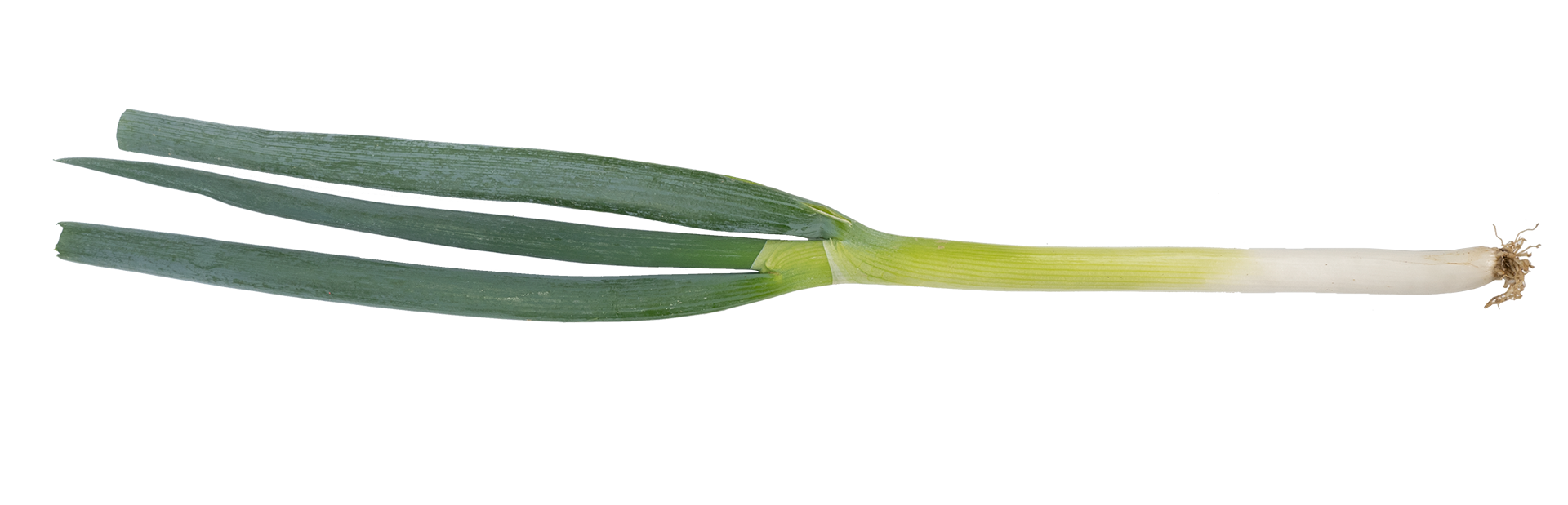 120203중파221221F1920V001.png
