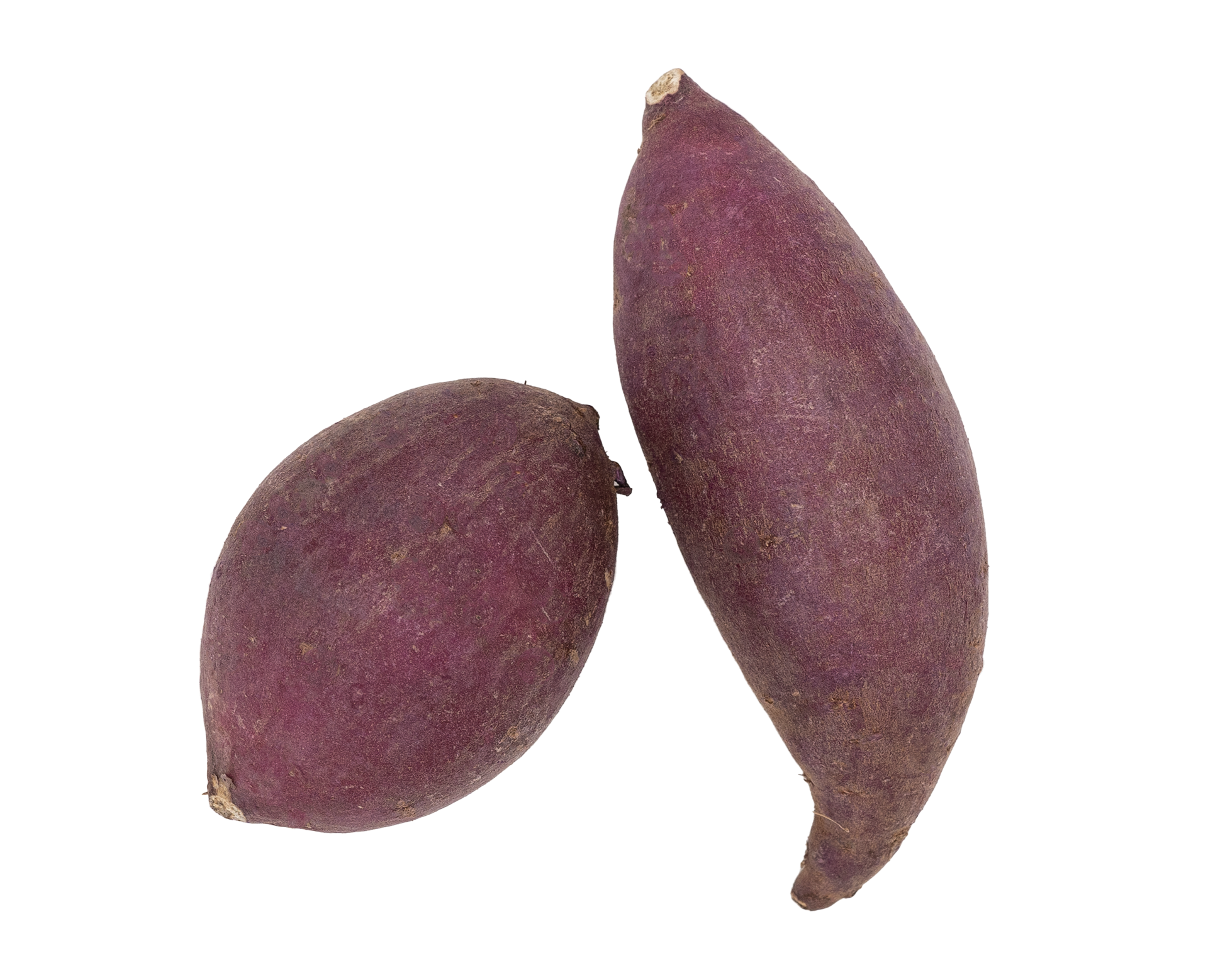 50201밤고구마221012F1920V001.png