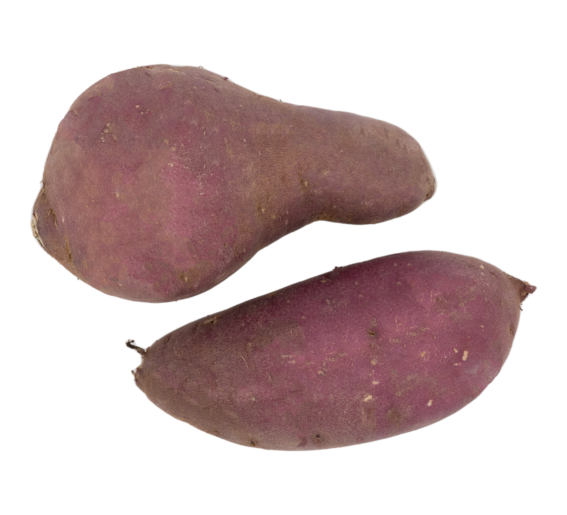 50202물고구마221118F1920V001.png