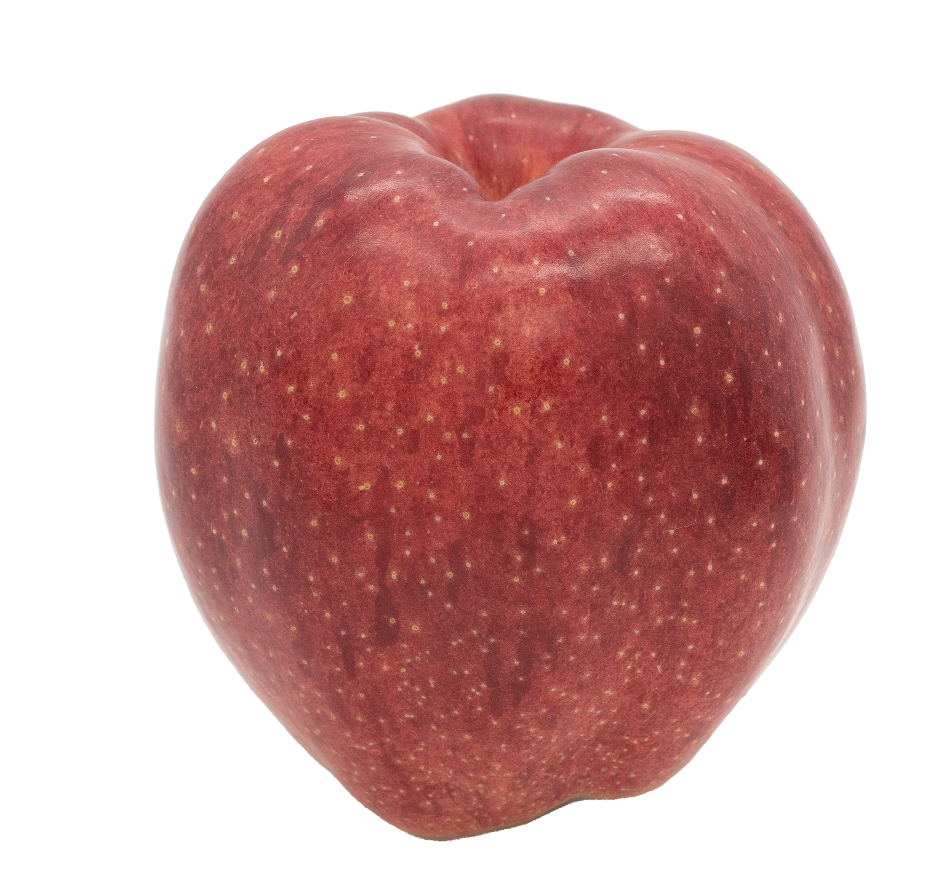 60101홍옥221012F1920V001.png