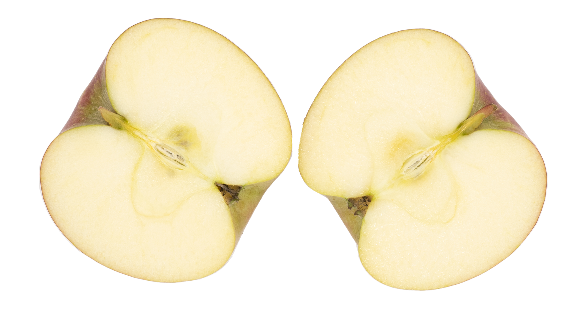 60103후지221020S1920V001.png